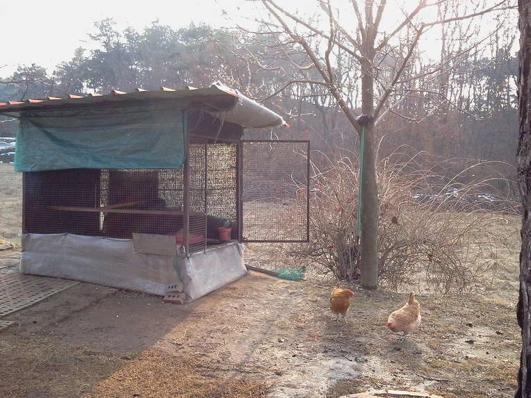 127AC835510A3BC8336AE8