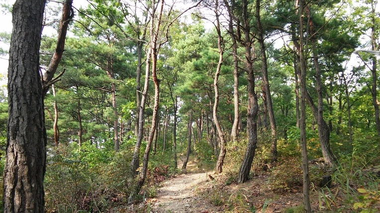 2265603B5615C30A07C2F7