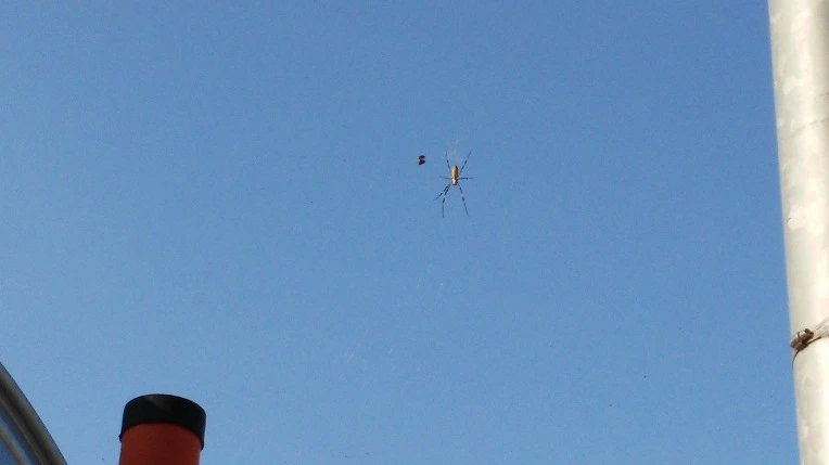 9979D13359E6B2BB02CFA0