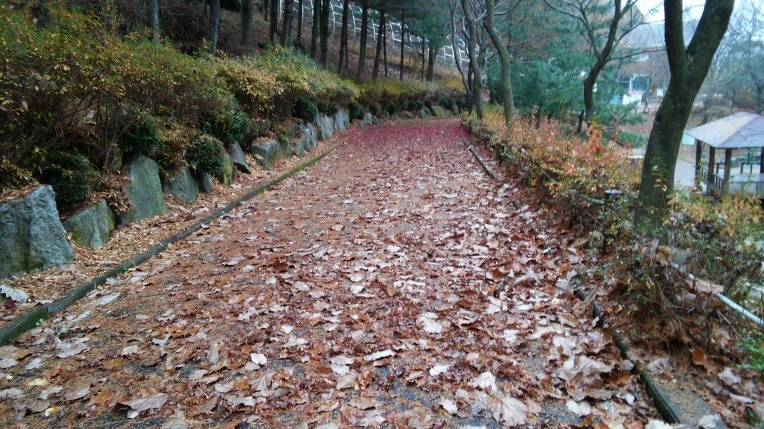 2666E03B564D177708BF11