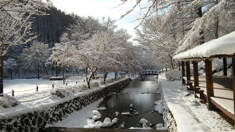 25018C44566120DE0E0090