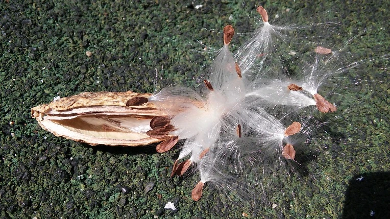 2665C7435652852E252502