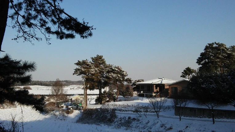 25315D3A588403B32B997C