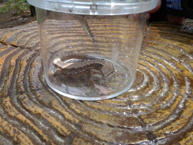 013253465191E0830E9C25