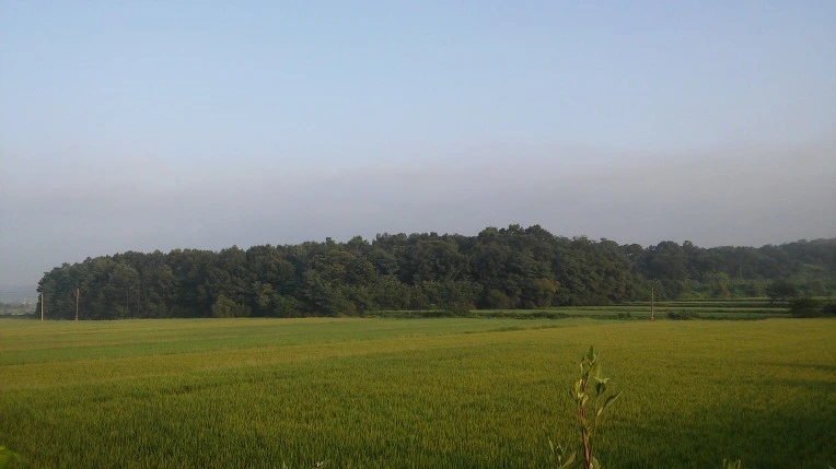 2732AF5057B10D5E0F7480