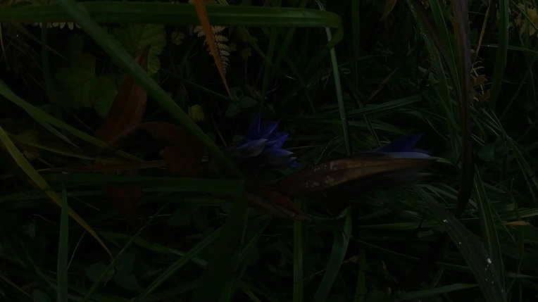 99891F495BD65E3A30A3D4