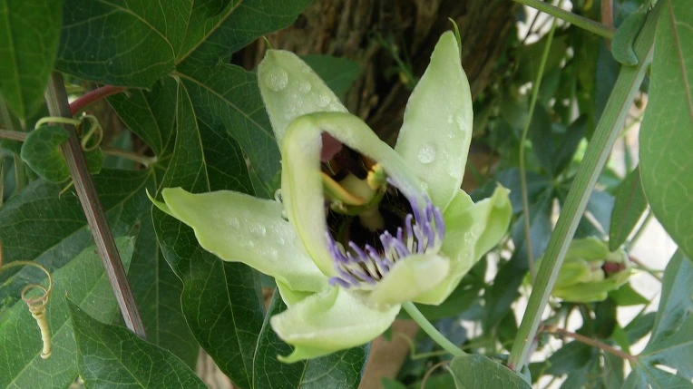 267FF23A57BD0F302BCE12