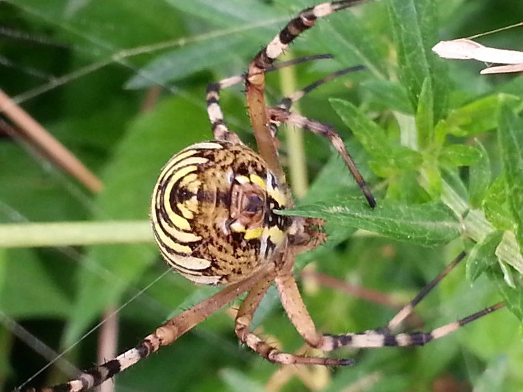 2303023B563AB289269916