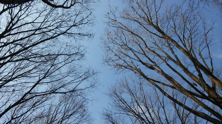 22675D475878B22F014478