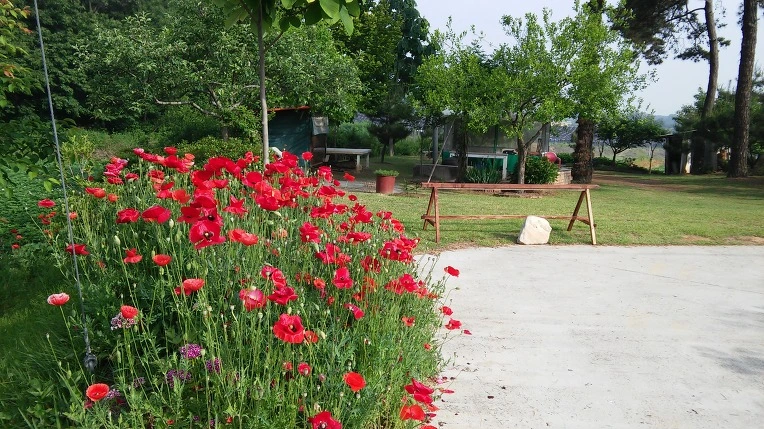 2713C633574A181E346DE1