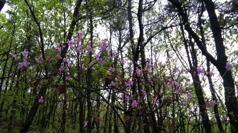 25250C505712CCB62FAB06