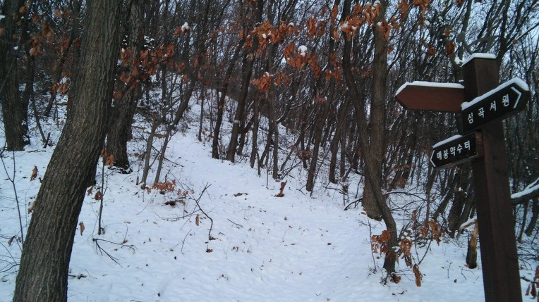 216729425696EEE62F984B