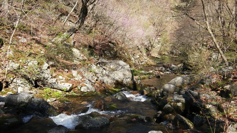 2360A53458FBF7E62507BE