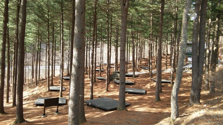 273E0E4E56E9E4FB0EFF57