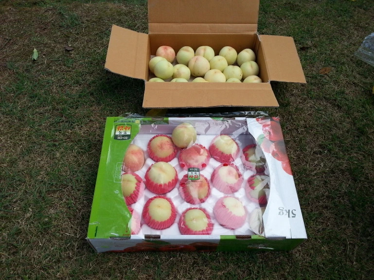 262F0B4A53DC50561D988A