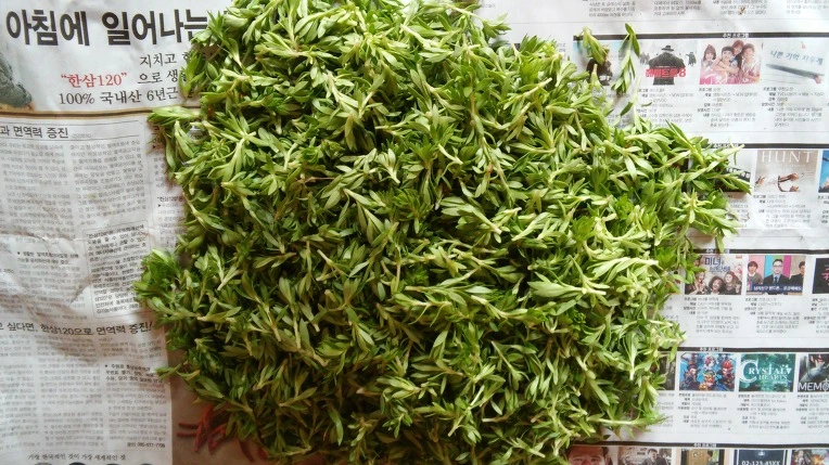 2213D6425714A18017F4B5