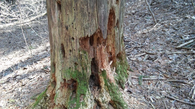 231E3E3356F7758C0D0350