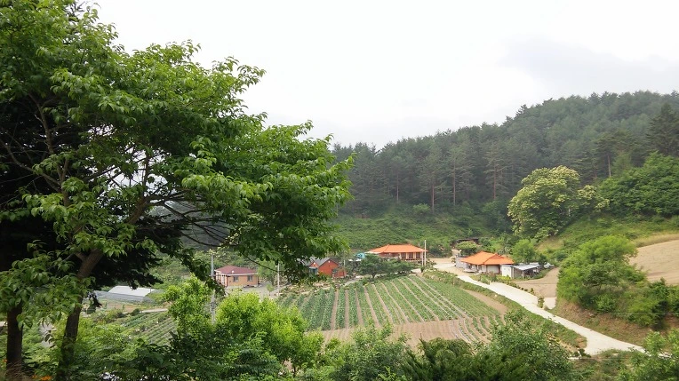 211A604D59596BEB0A6997