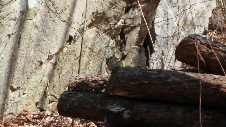 276BC348563698B635E22E