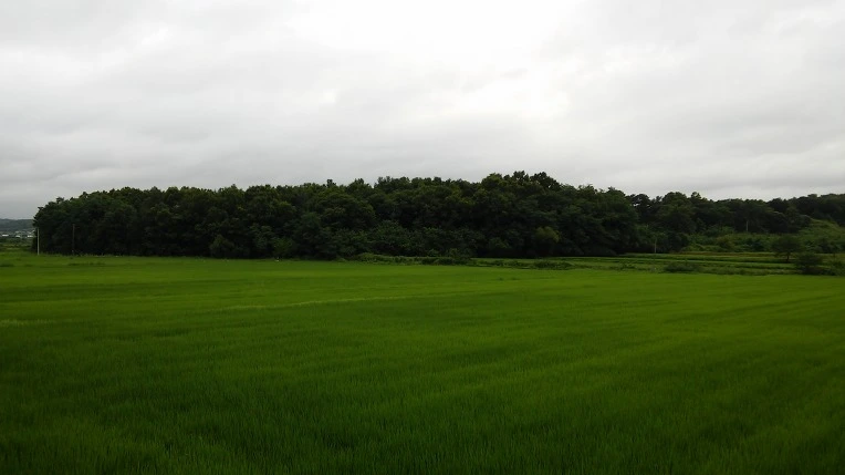 24673A45578C5AF41813E6