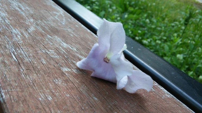 222F5F3B59339B4501F250