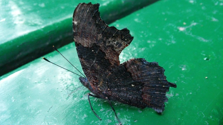 2517F139561F592112AF7F