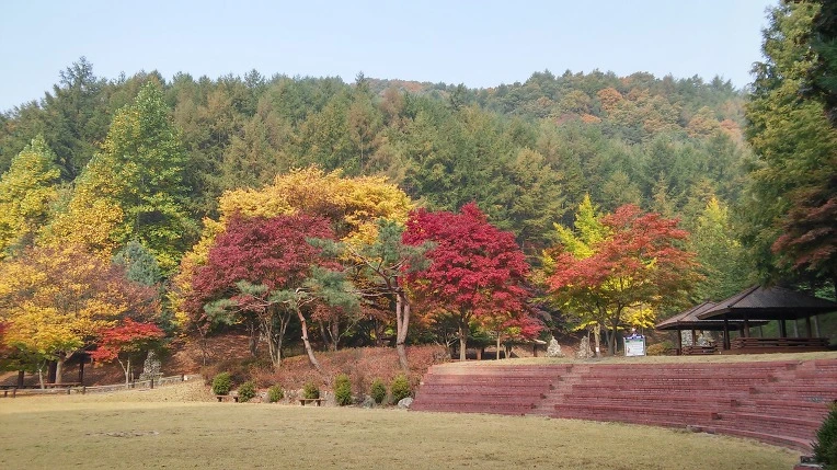 245C204556281DD42E1C7C