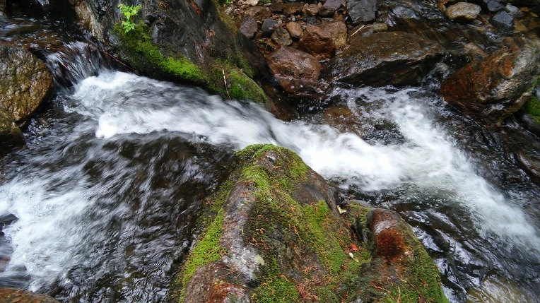 255C10475924D6DB058C6C