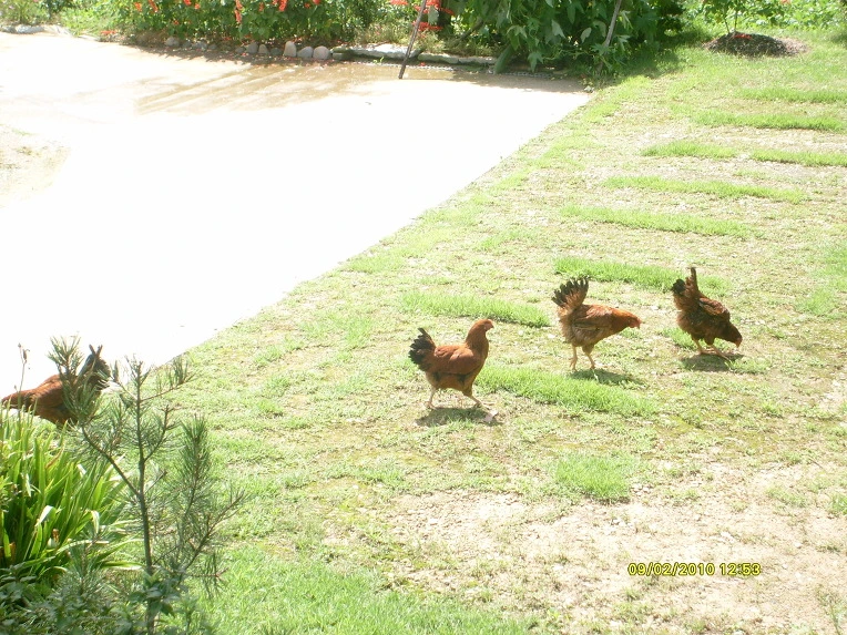 1316061A4CA5BE5365E897