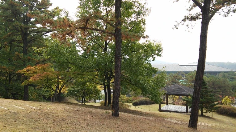 2604303B562A9F152F07A1