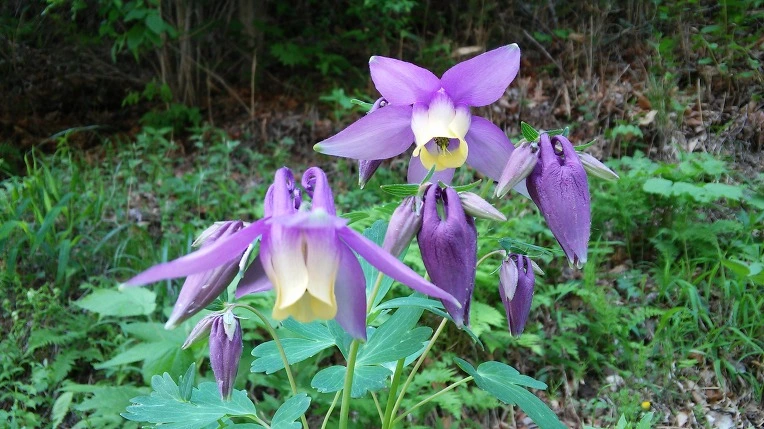 263BE14C5914160C014836