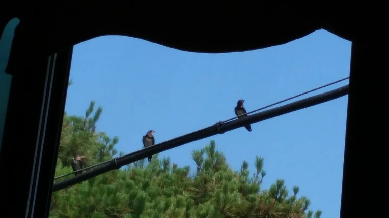 9980C1465D467B28256DFC