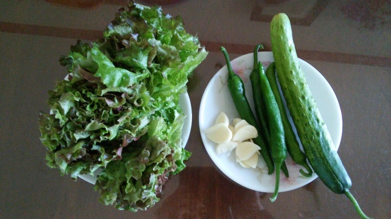 26124C4D576E19C519900E