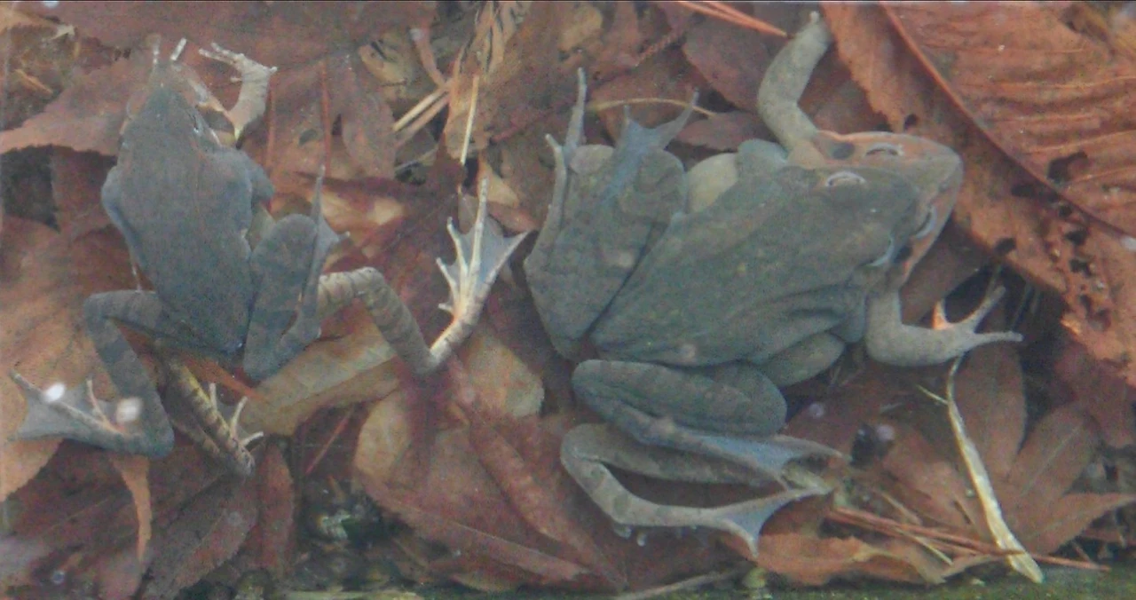 2548473E550282E403813A