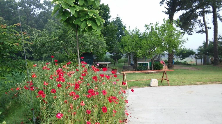 2373D0395758EF5537CB93