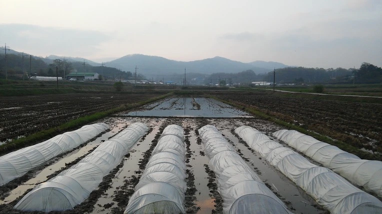 2340DC375715583B13A8CB