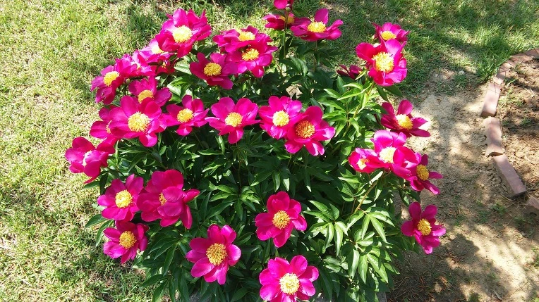 2633074B591BAEB6036C8F