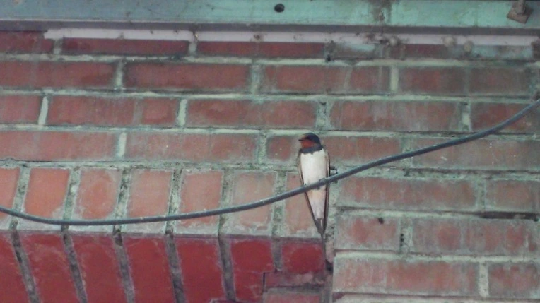 250CC14C5786C108029838