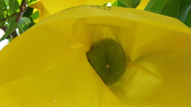 27552341574E52413646CD