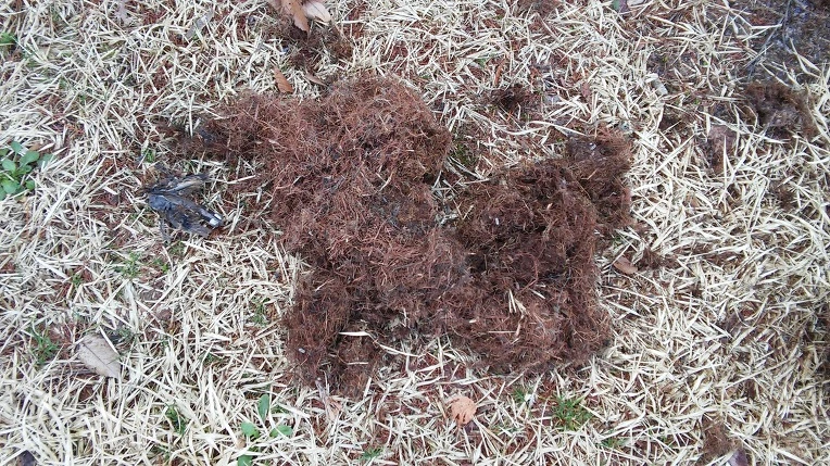 2433CA3B551F526609C914