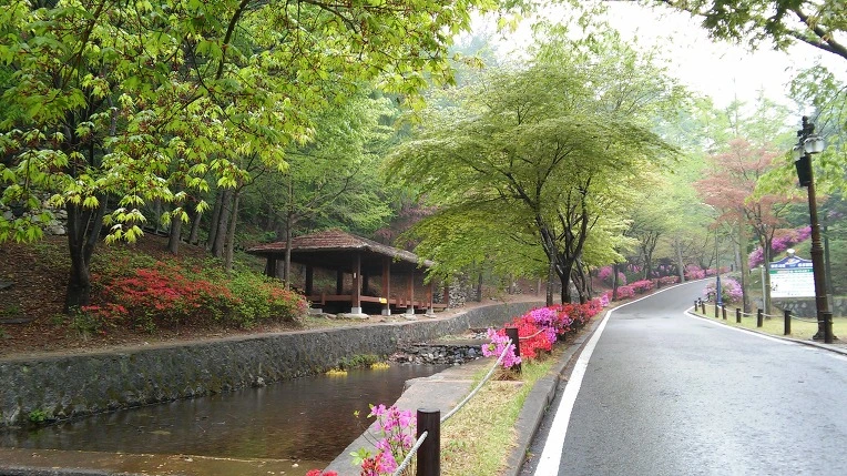 2166EF33562BF89D14C360