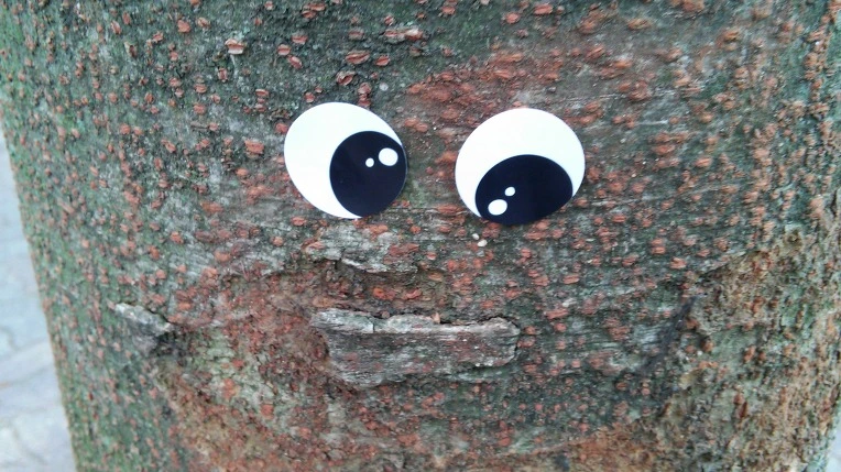 254E4C45565288673416C4