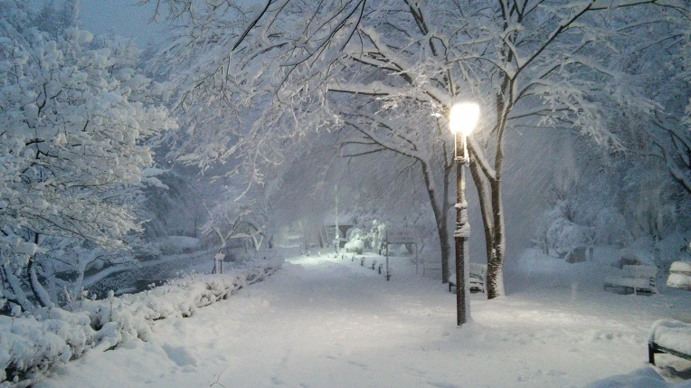 2563D03E566008E51D255D