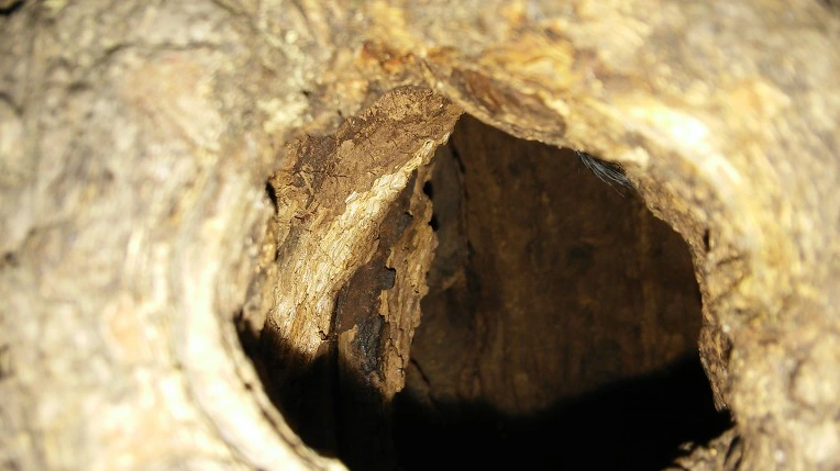 233F4239555ADBFF171EEC