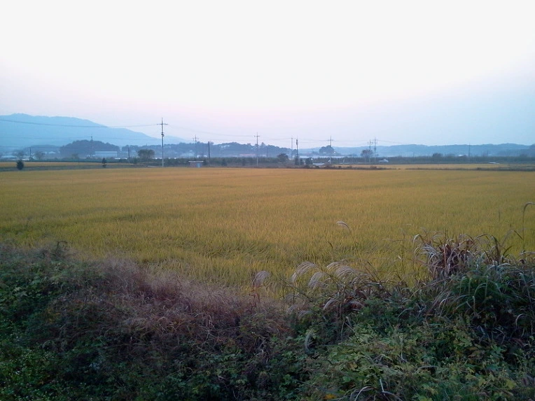 2437C439542417383E7B74