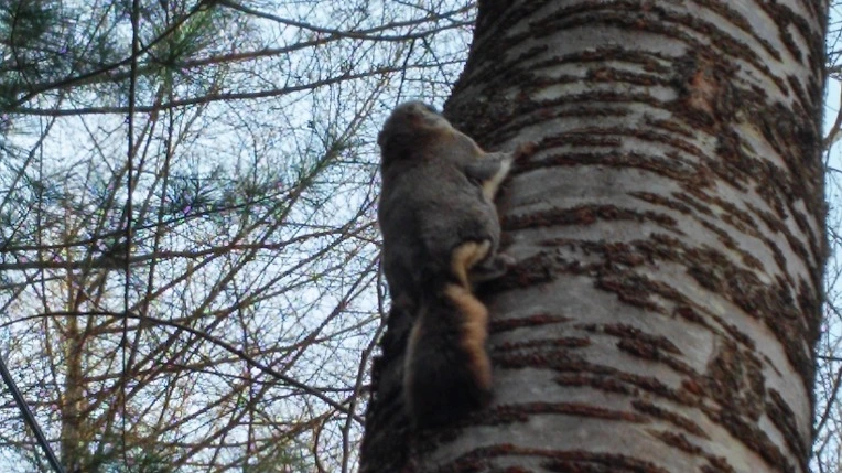 263E563B551F525803DA43