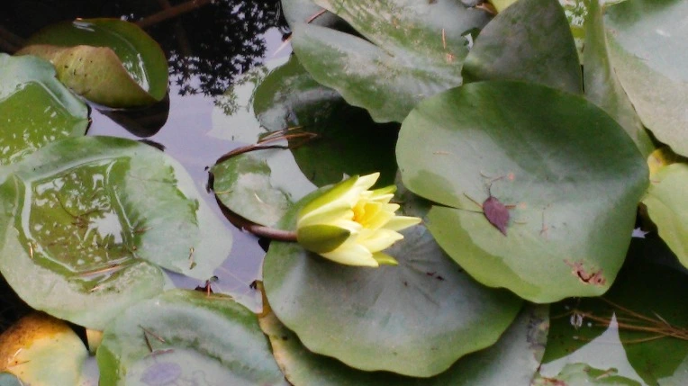 2321B83B5619797F3B1D15