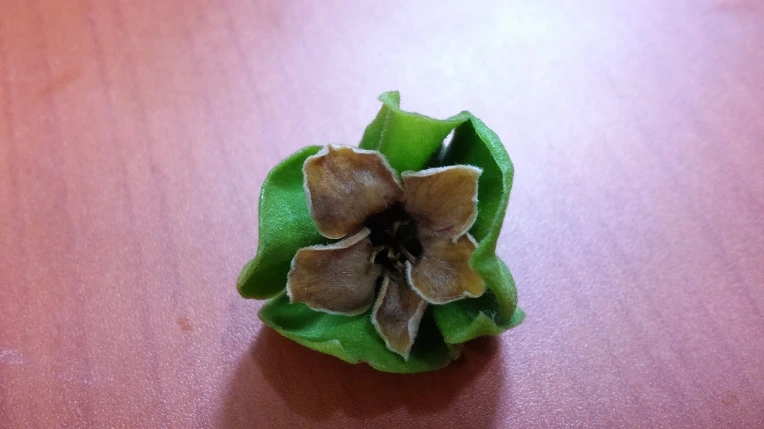 2322754F597136F106BAD1