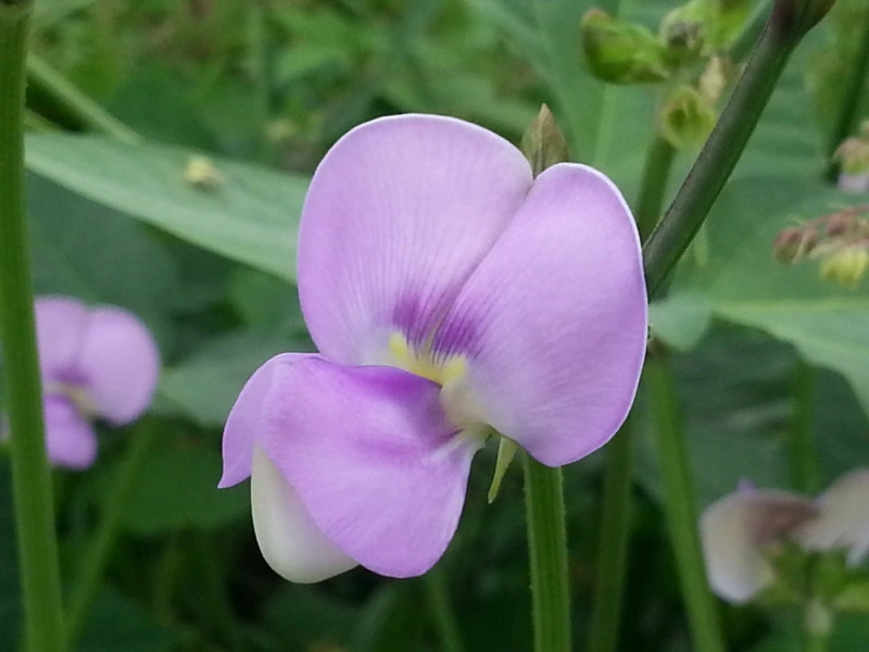 2422FD41541A946B1F2CBD