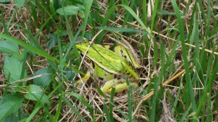 2651B93557D665C3165DE8